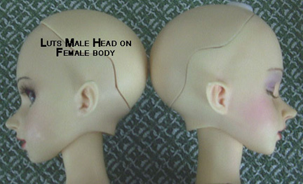 Luts Male head on Luts female body